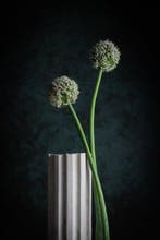 Clazien Boot Fotografie - Uienbollen op een voetstuk