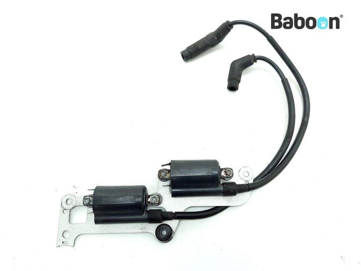 Bobine Aprilia Tuono RSV 1000 (+Factory) 2002-2005 Set rear, Motoren, Onderdelen | Overige, Gebruikt, Verzenden