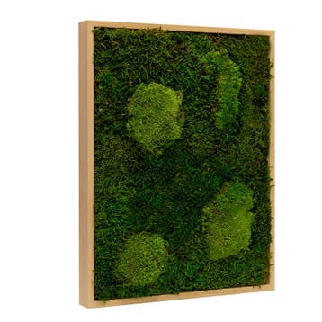 Vintlux Mosschilderij Lappenmos-Bolmos Blank Hout - Viborg, Huis en Inrichting, Woonaccessoires | Wanddecoraties, Nieuw
