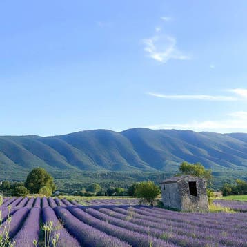 Fabio Accorrà - The colors of Provence