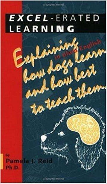 Excel-Erated Learning - Pamela Reid 9781888047073, Verzenden, Gelezen, Pamela Reid