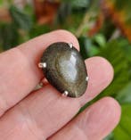 Ring van gouden obsidiaan uit Mexico. Montage op 925 zilver., Antiek en Kunst