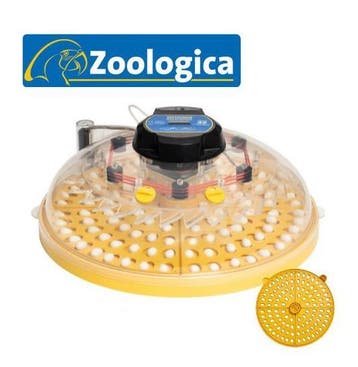 Hobbybroedmachines, Ophalen of Verzenden, Nieuw, Broedmachine