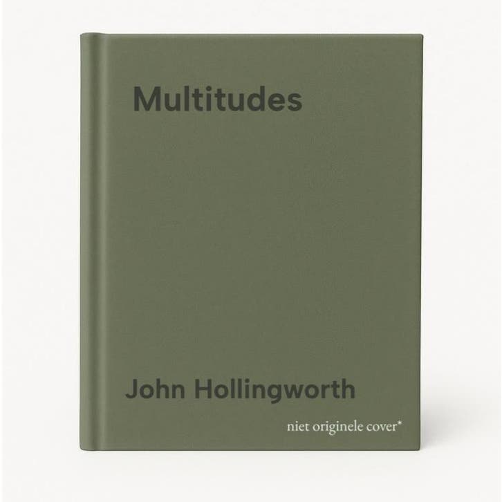Multitudes - John Hollingworth 9781848424807, Boeken, Taal | Engels, Zo goed als nieuw, Verzenden