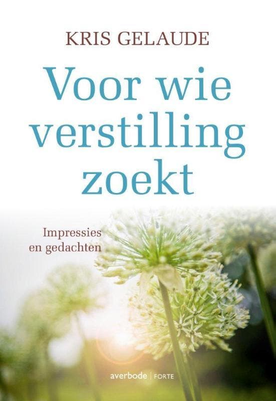 Voor wie verstilling zoekt - Kris Gelaude 9789079956197, Boeken, Esoterie en Spiritualiteit, Gelezen, Verzenden