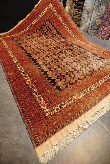 Afghan - Tapijt - 367 cm - 253 cm, Nieuw