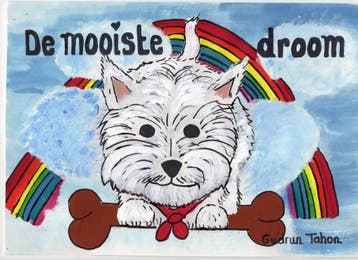 De Mooiste Droom | Gudrun Tahon | Nieuw, Ophalen of Verzenden, Nieuw, Gudrun Tahon