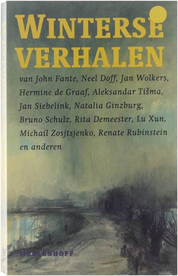 Winterse verhalen - Bruno Schulz 9789029097598, Verzenden, Gelezen, Bruno Schulz