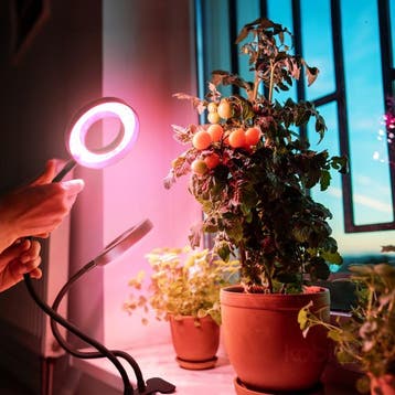 LED Kweeklamp VITARO RING-2 8W - Met Clip - Dimbaar & Tim..., Huis en Inrichting, Ophalen of Verzenden, Nieuw