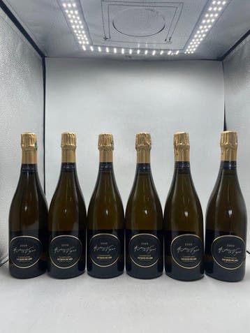 2008 Jacques Picard Art De Vigne Champagne Extra Brut -, Nieuw