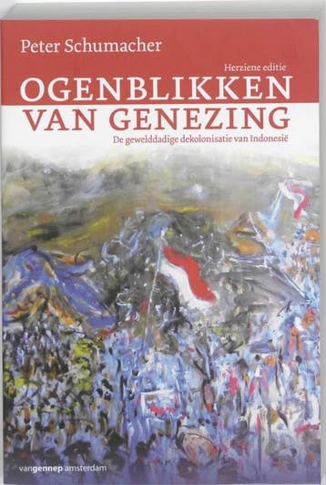Ogenblikken van genezing - Peter Schumacher 9789461640420, Boeken, Geschiedenis | Wereld, Verzenden, Gelezen, Peter Schumacher