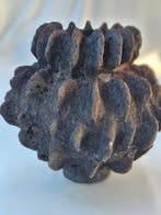 Officine Polverose - Vaas - A Canne - Klei - drie idolen