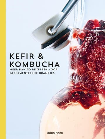 Kefir & kombucha - Sebastian Landaeus 9789461432049, Verzenden, Zo goed als nieuw, Sebastian Landaeus