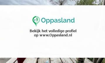 Ilse zoekt een oppas in Silvolde., Nieuw