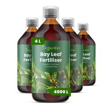 Laurierblad Vloeibare Meststof - 4x1 Liter, Verzenden, Mest