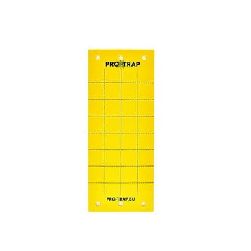 Val voor vliegende insecten | Aeroxon | 10 stuks (Lijm), Verzenden, Nieuw