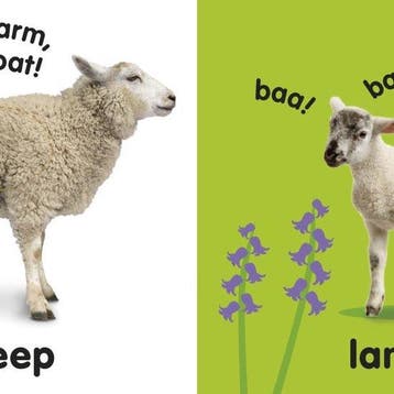 Baby Touch and Feel Farm Animals - Dk 9781405392570, Verzenden, Gelezen, Dk