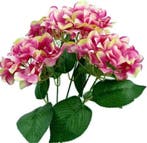 Hortensia Hydrangea Groot Pink Bicolor Zijdenbloem New 49 cm, Ophalen of Verzenden, Nieuw