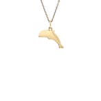 Gouden Dodo hanger dolfijn 18 karaat, Verzenden, Zo goed als nieuw, Goud