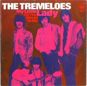 The Tremeloes - My Little Lady, Ophalen of Verzenden, Gebruikt