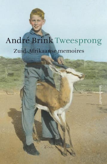 Tweesprong 9789029083690 André Brink, Boeken, Verzenden, Gelezen, André Brink