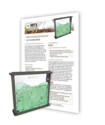 Mierenboerderij Gel Schoolpakket - Educatieve Lesbox voor de