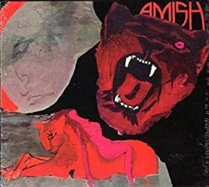 cd digi - - Amish (Digipak), Cd's en Dvd's, Cd's | Rock, Zo goed als nieuw, Verzenden