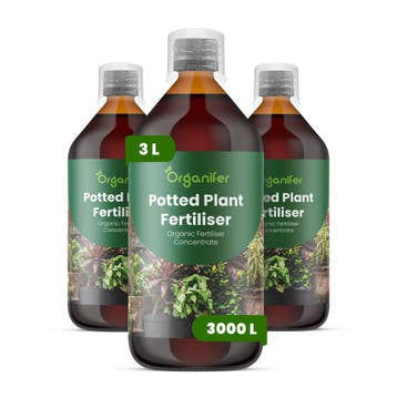 Potplant Vloeibare meststof - Set 3x1 liter, Verzenden, Mest