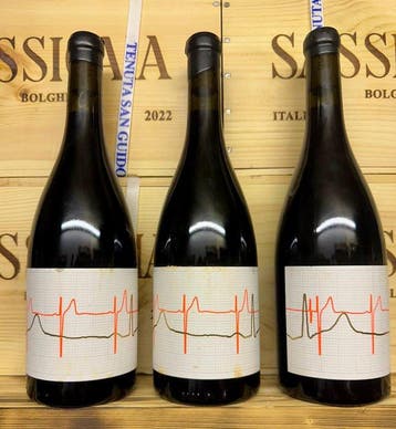 2018 Viña Zorzal Wines, Punto de Fuga Corral del Mate -, Nieuw