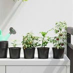 vidaXL Ronde Bloempot 50 pcs Zwart Ø 10 x 8 cm Kunststof, Kunststof, Minder dan 30 cm, Verzenden, Minder dan 60 cm