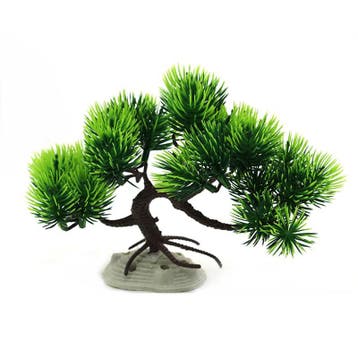 Bonsai boom donker- en lichtgroen met gebogen stam OS-222 -, Ophalen of Verzenden, Nieuw