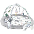 Babygym Dinosaurus 7-in-1 | Nieuw | Scherpe Prijs, Ophalen of Verzenden, Nieuw, Babygym, Met licht