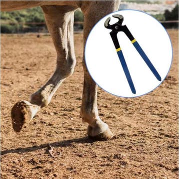 Professionele Hoefkniptang – Hoeftrimmer voor Paarden, Dieren en Toebehoren, Paarden en Pony's | Overige Paardenspullen, Verzenden