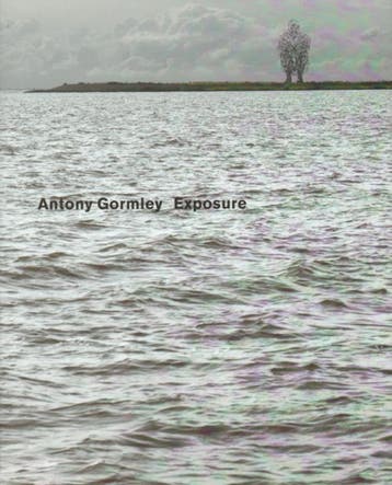 Exposure 9789081598019 Antony Gormley, Verzenden, Zo goed als nieuw, Antony Gormley