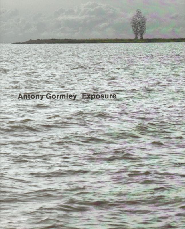 Exposure 9789081598019 Antony Gormley, Boeken, Kunst en Cultuur | Beeldend, Zo goed als nieuw, Verzenden