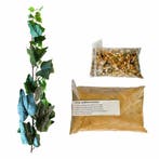 Inrichtingsset, Dieren en Toebehoren, Insecten en Spinnen