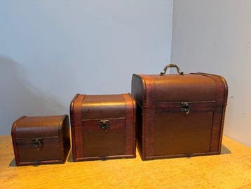 Kist (3) - Decoratieve Houten opbergkoffer - Hout