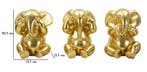 OLIFANTENSET 3 STUKS CM Ø 15,5X20,5, Huis en Inrichting, Woonaccessoires | Overige, Ophalen of Verzenden, Nieuw