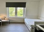 Studio Louis Loyenstraat in Maastricht, Overige soorten, Limburg