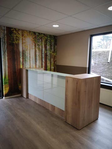Receptiebalie | Groot model | Glaspanelen, Nieuw in verpakking