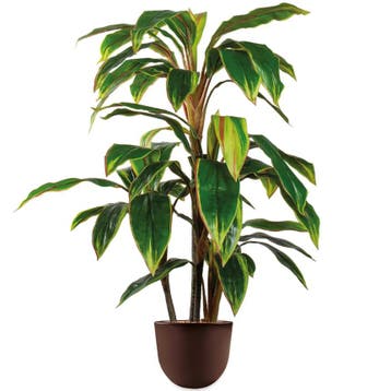 Cordyline kunstplant, H110cm, Ophalen of Verzenden, Overige soorten, 100 tot 150 cm