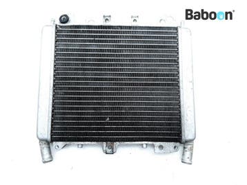 Radiateur Piaggio | Vespa Beverly 300 2010-2015 (M69200), Verzenden, Gebruikt