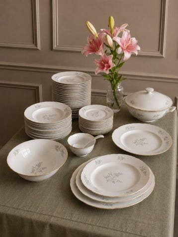 Richard Ginori - Tafelservies (56) - Porselein - Zachte, Antiek en Kunst