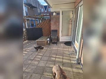 Te huur: Appartement Sallandsestraat in Coevorden, Coevorden, Appartement, Drenthe