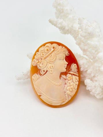 CASSIS RUFA - Cameo - Handgesneden camee