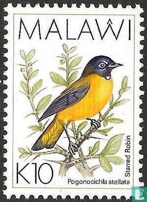 Malawi - Sterrenpaapje - 1994, Verzenden, Postfris