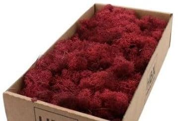 Rendiermos IJslandsmos Finlandsmos Bordeaux 500 gram, Ophalen of Verzenden, Nieuw