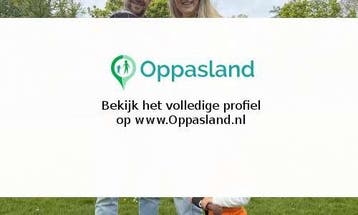 Cindy zoekt een oppas in Rotterdam., Vacatures
