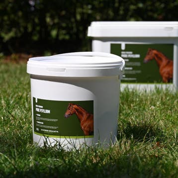 Vlozaad paard - Pure Psyllium - 5kg incl. maatschepje, Dieren en Toebehoren, Nieuw