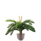 Cycas kunstplant, H70cm, Ophalen of Verzenden, Palm, Minder dan 100 cm